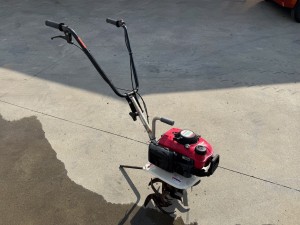 IMG_4861
